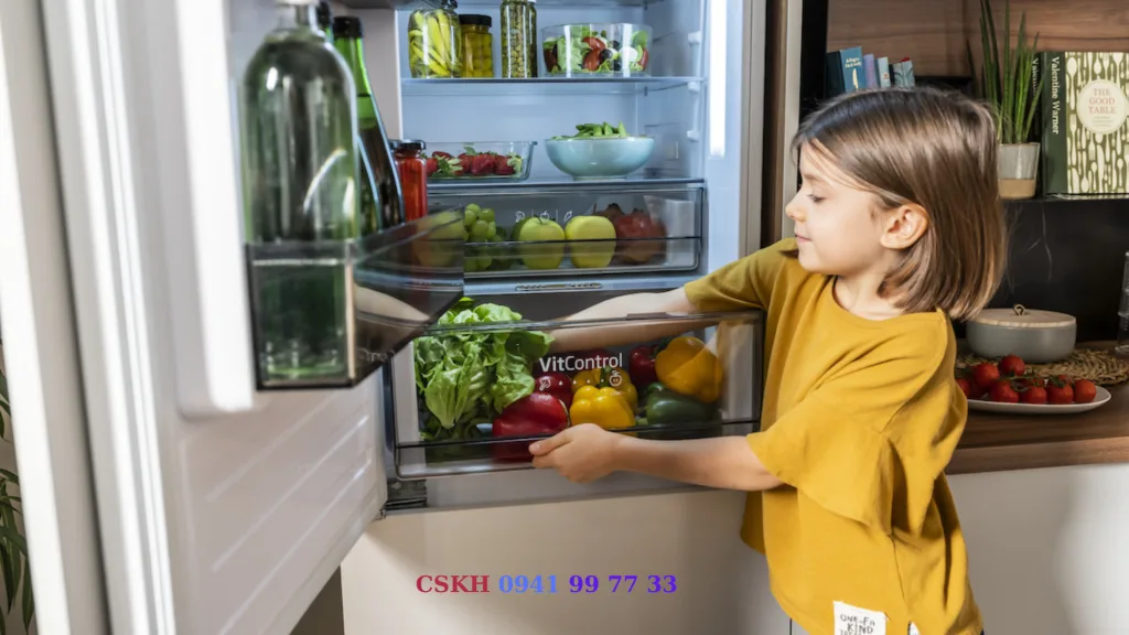 Dịch Vụ Trung Tâm Bảo Hành Tủ Lạnh Fagor Tại Hà Nội