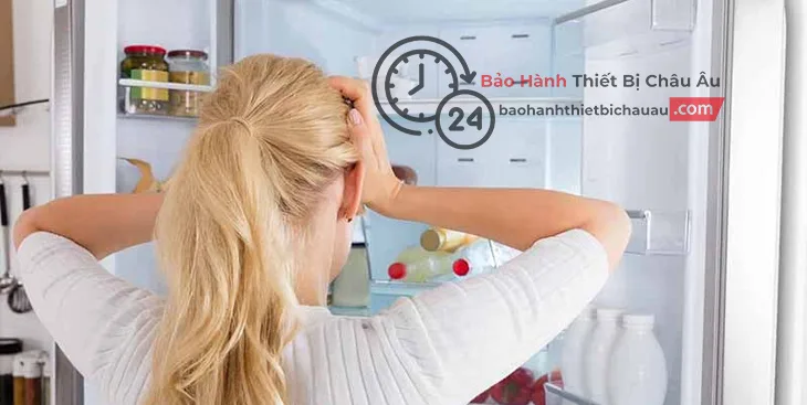 lỗi f012 trên tủ lạnh hitachi