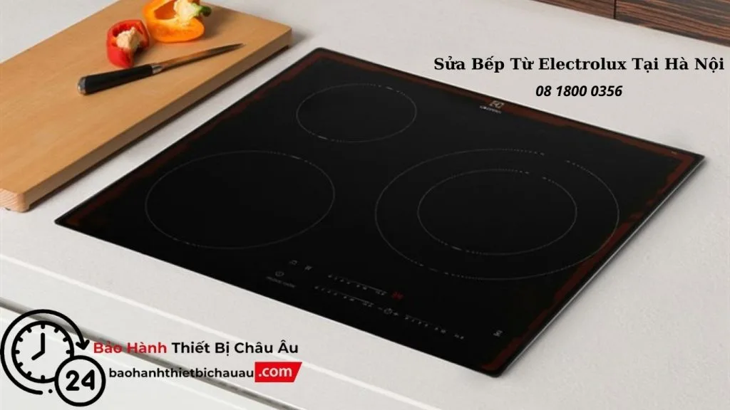 Tại Sao Nên Chọn Dịch Vụ Sửa Bếp Từ Electrolux Tại baohanhthietbichauau.com?