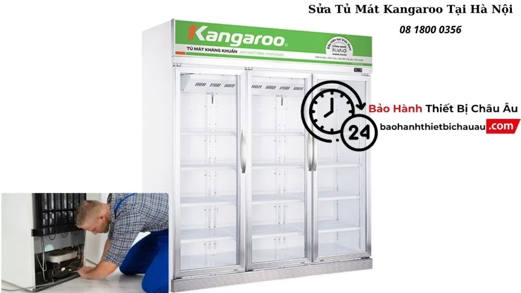Sửa Tủ Mát Kangaroo Tại Hà Nội | Dịch Vụ Tận Nhà – Có Mặt Sau 30 Phút 1 Sửa Tủ Mát Kangaroo Tại Hà Nội | Dịch Vụ Tận Nhà – Có Mặt Sau 30 Phút