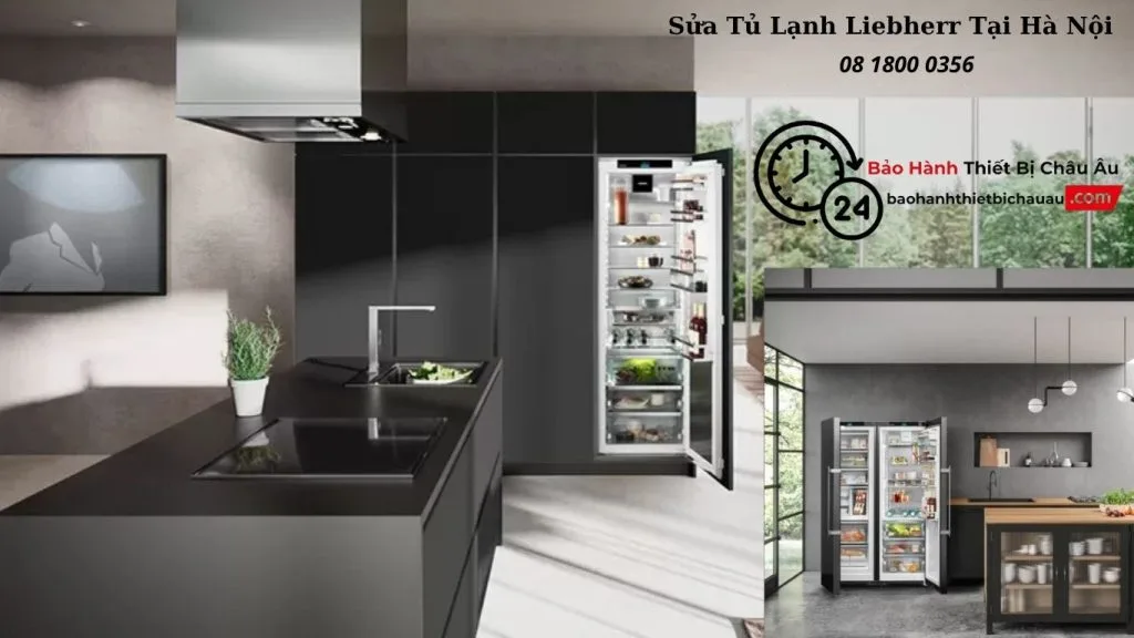 Sửa Tủ Lạnh Liebherr Tại Hà Nội | Bảo Hành Chính Hãng