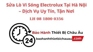 Sua Lo Vi Song Electrolux Tai Ha Noi – Dich Vu Uy Tin Tan Noi