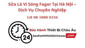 Sua Lo Vi Song Fagor Tai Ha Noi – Dich Vu Chuyen Nghiep