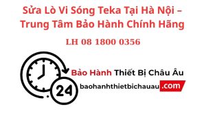 Sua Lo Vi Song Teka Tai Ha Noi – Trung Tam Bao Hanh Chinh Hang