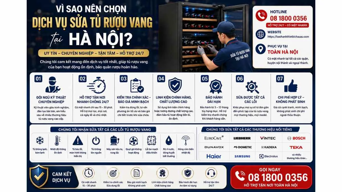 Vì Sao Nên Chọn Dịch Vụ Sửa Tủ Rượu Vang Tại Hà Nội?