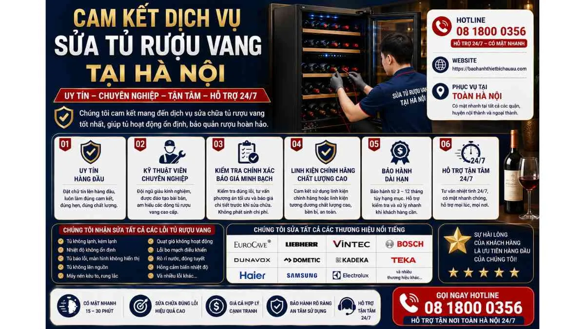 Cam Kết Dịch Vụ Sửa Tủ Rượu Vang Tại Hà Nội